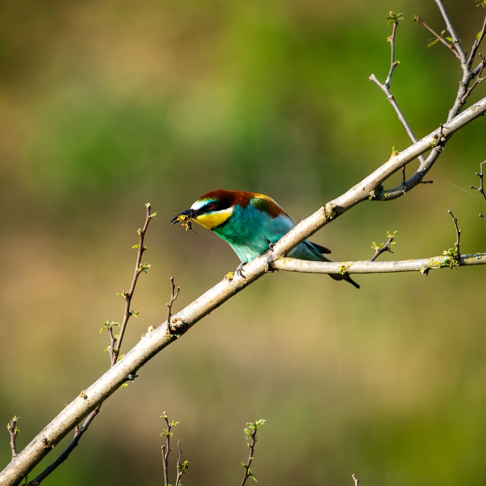 Photograph by Vadim Heinz