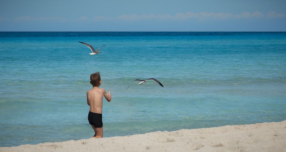 Photograph by Алексей Афанасьев