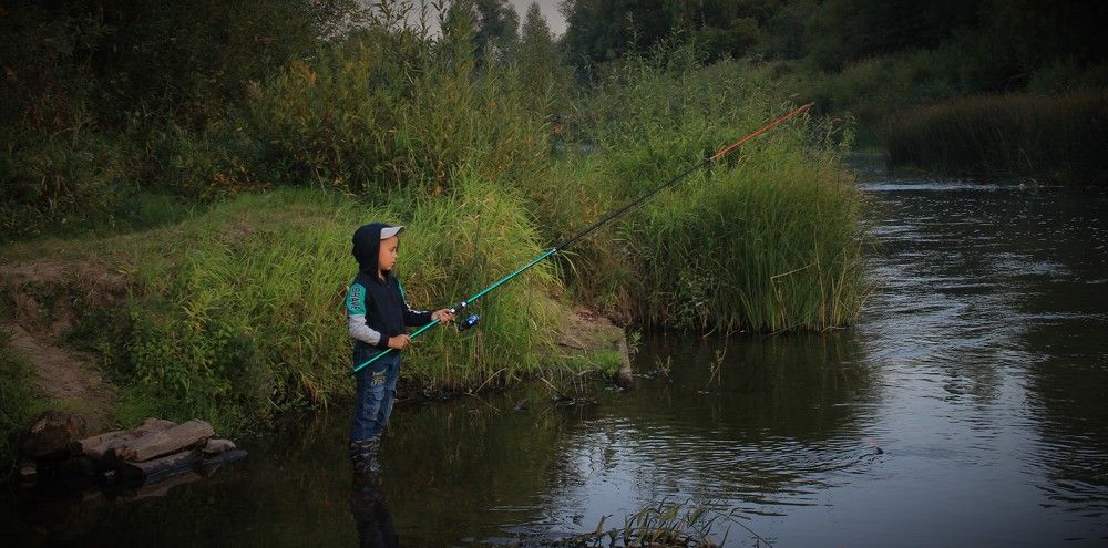 Фотография автора Светлана Терехова