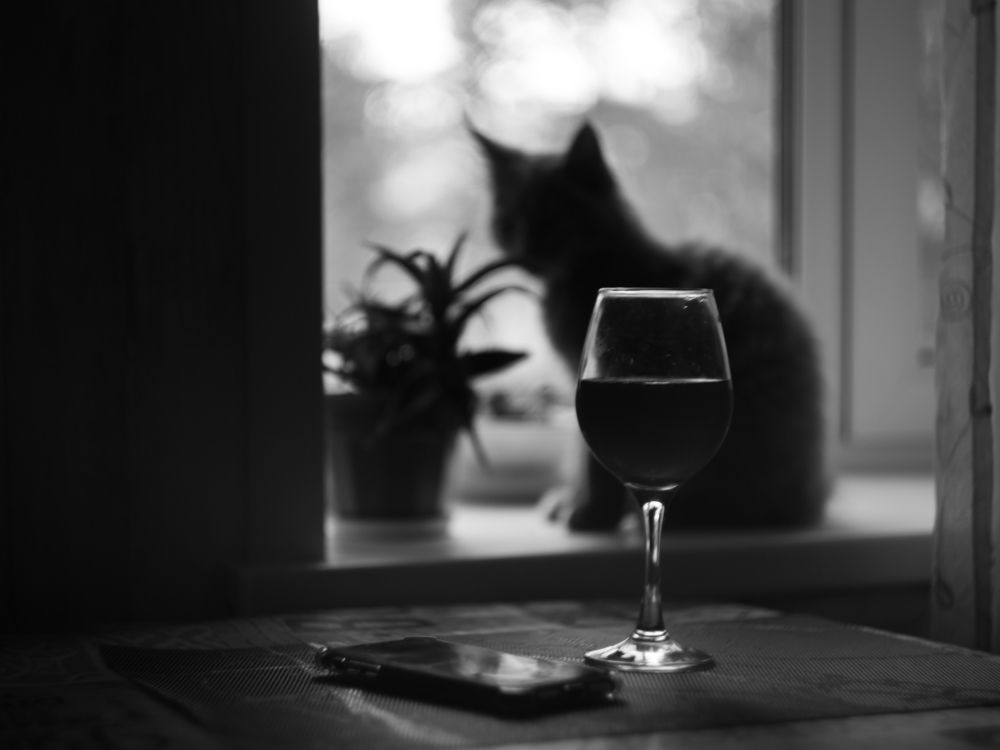 Photograph by Татьяна Соколова