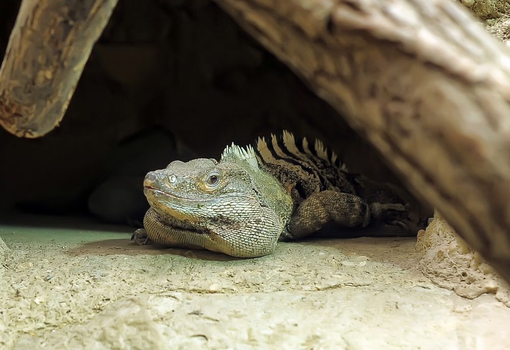 Photograph by Анна Кривицкая