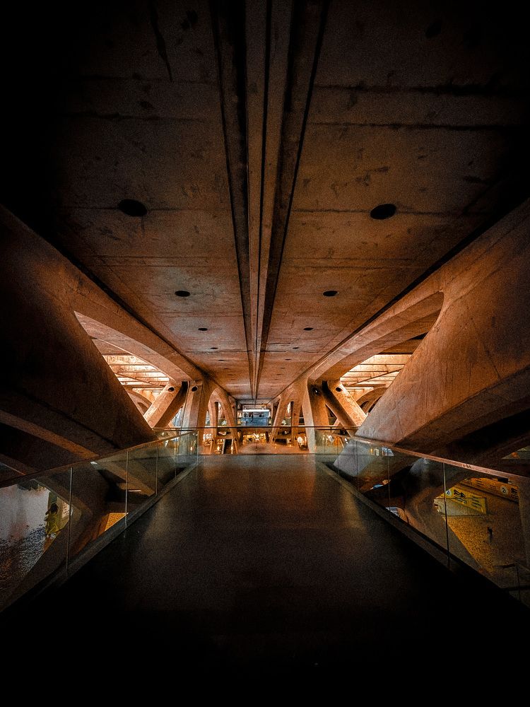 Photograph by Lucia Correia