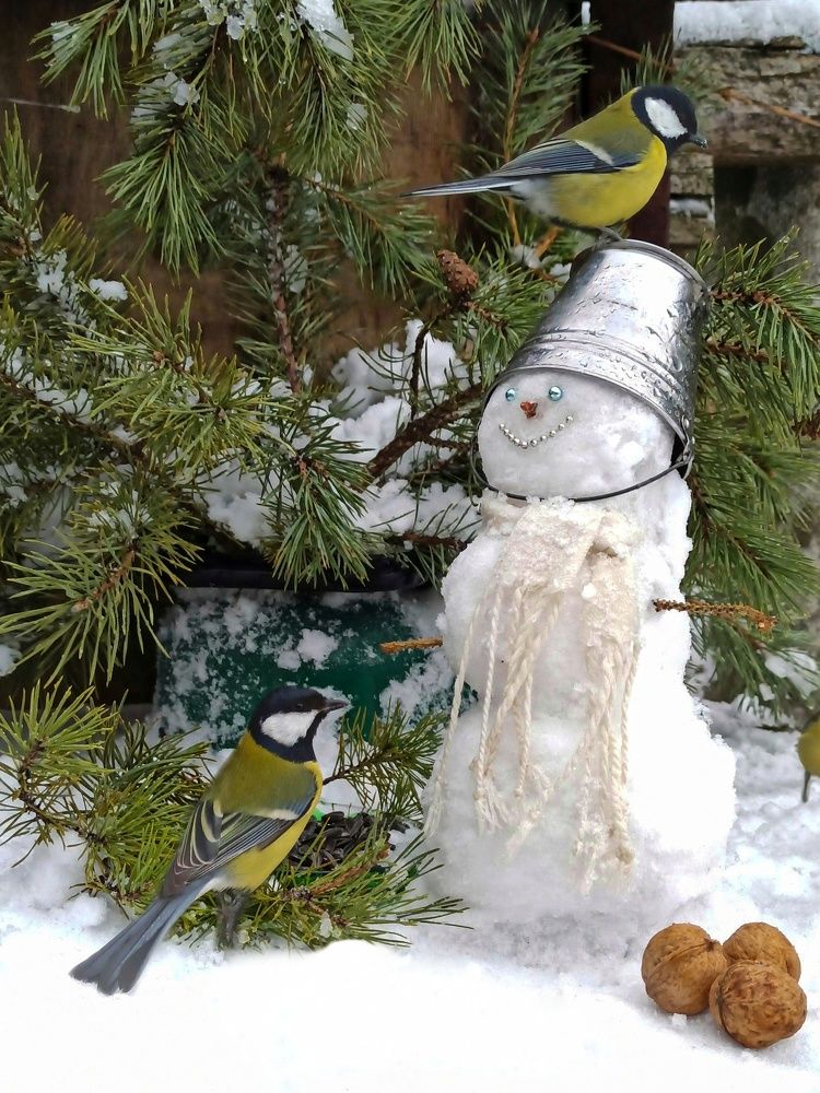 Photograph by Ирина Дегтярева