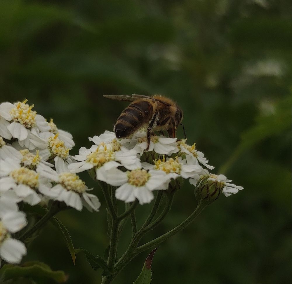 Photograph by Елена Попова