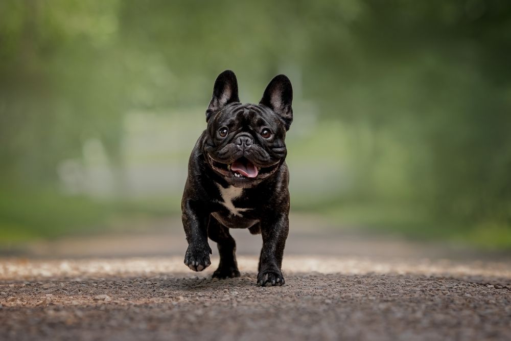 Photograph by Мария Мадзик