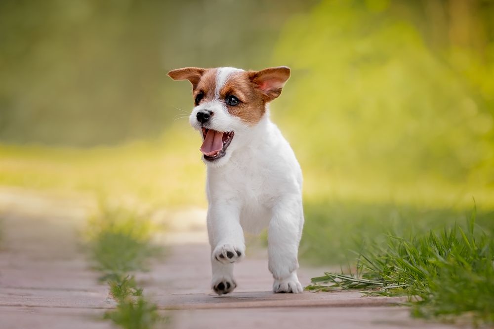 Photograph by Мария Мадзик