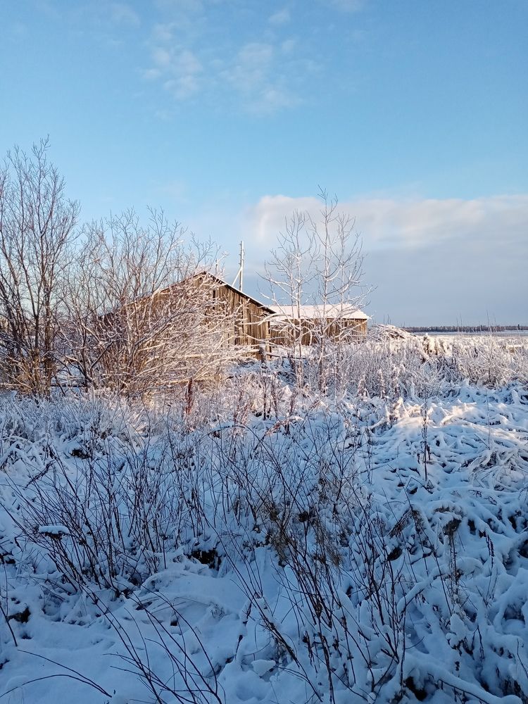 Photo #9292362