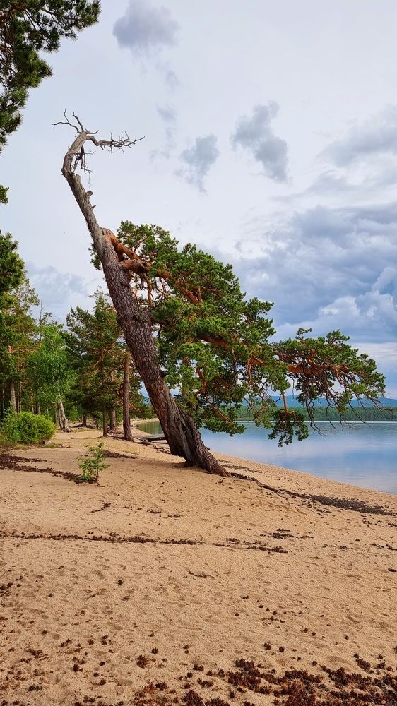 Photograph by Эдуард Горбов