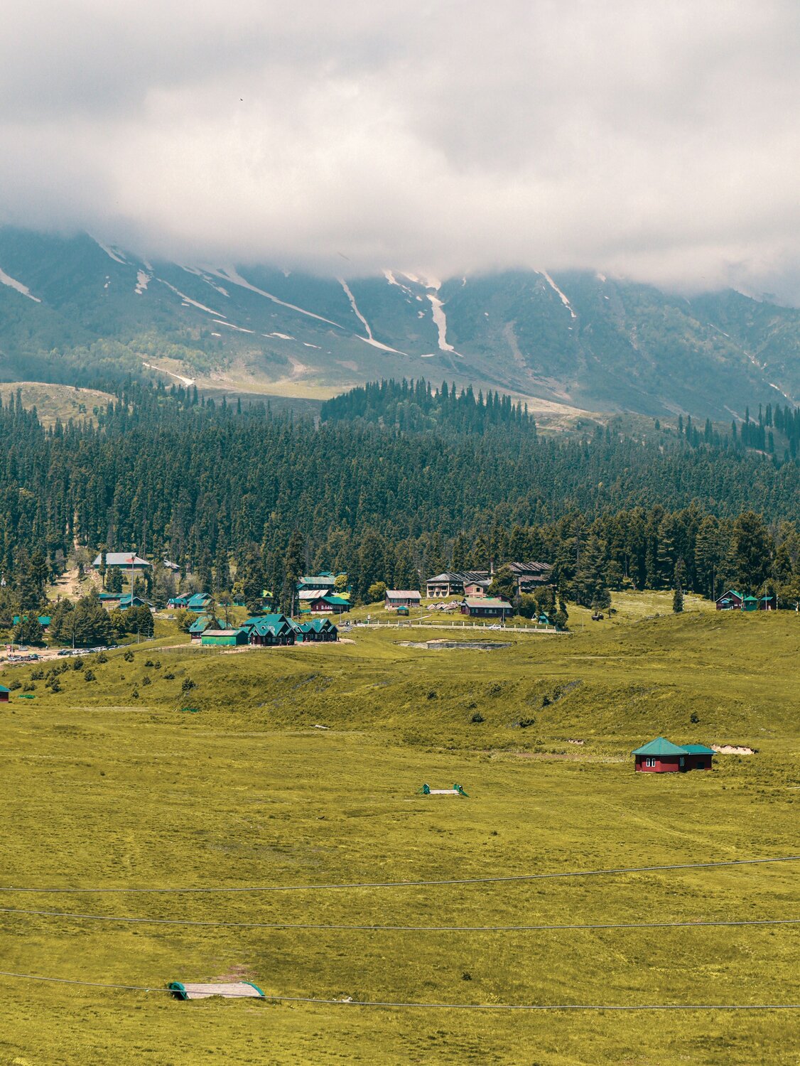 Photo #9292486