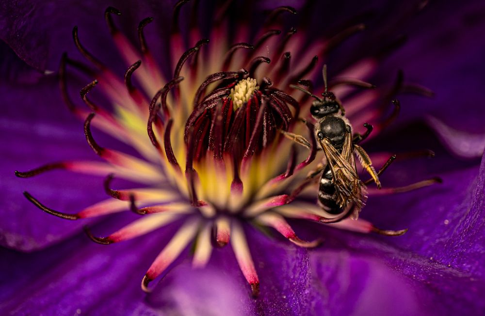 Photograph by Владимир Коновалов