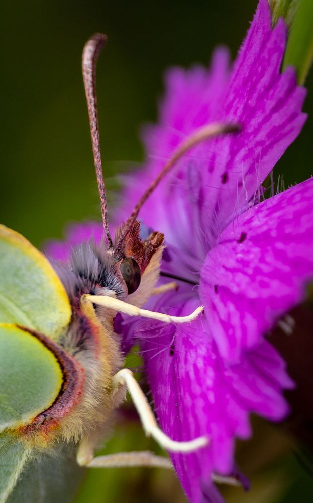 Photograph by Владимир Коновалов