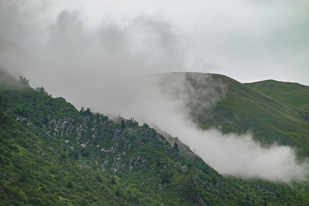 Photograph by Инна Гаджиева