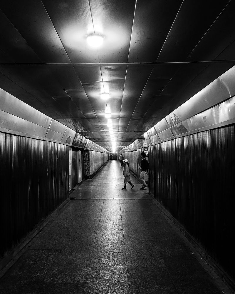 Photograph by Анна Новосельцева