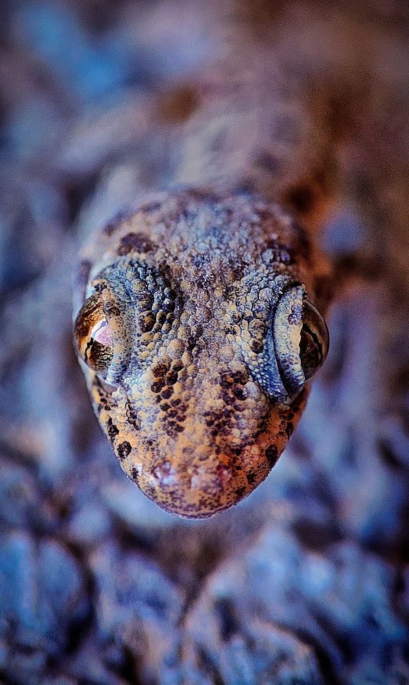 Photograph by Ehsan Fathi