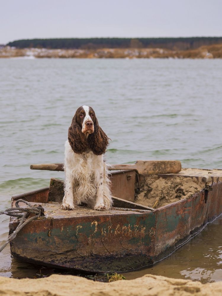 Photograph by Елена