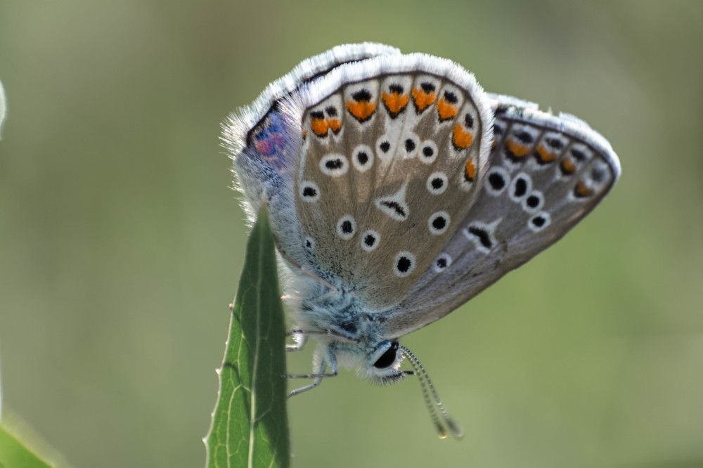 Photograph by Людмила Прибылова