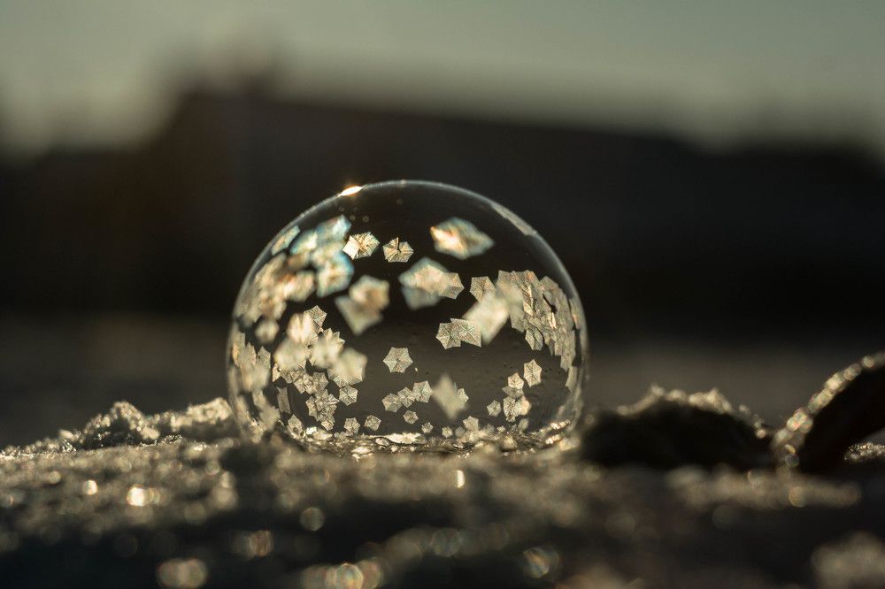 Photograph by Людмила Прибылова