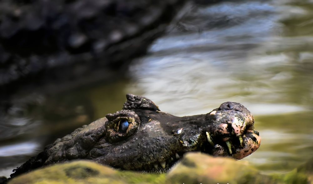 Photograph by akhil varikuti m