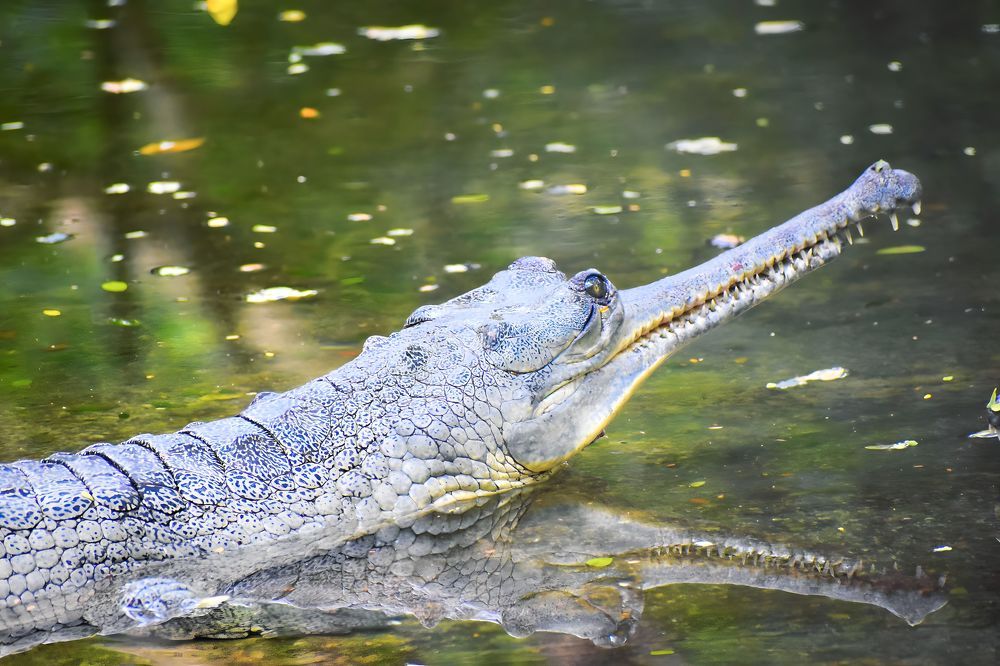 Photograph by akhil varikuti m