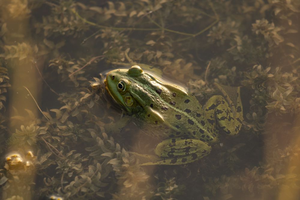 Photograph by Ангелина Высочина