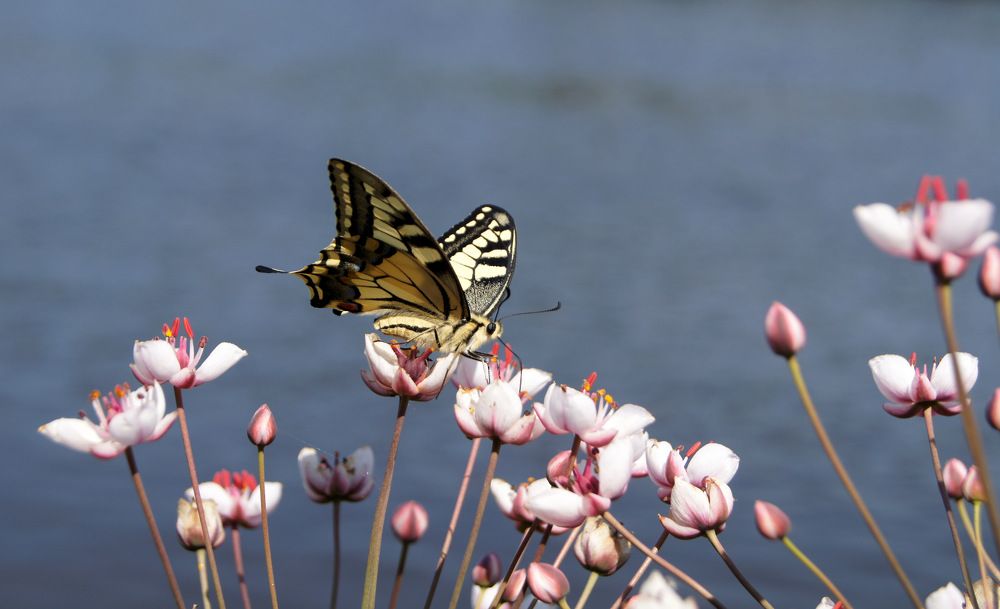 Photograph by Полина Александровна