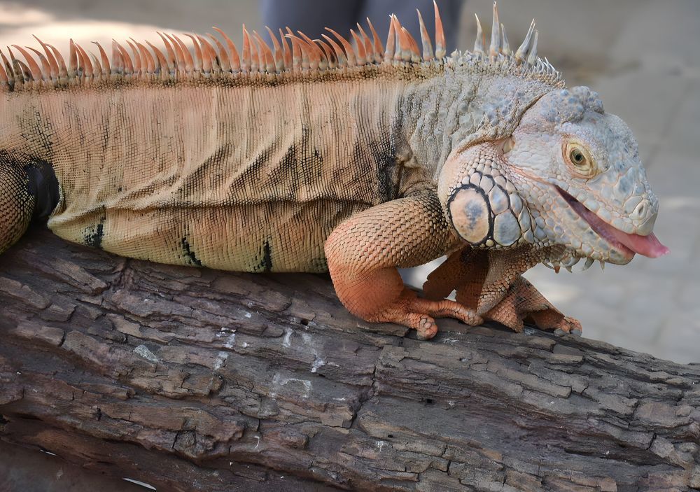 Photograph by akhil varikuti m