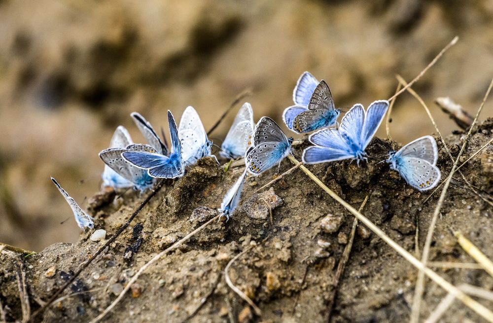 Photograph by Сергей Конюшенко