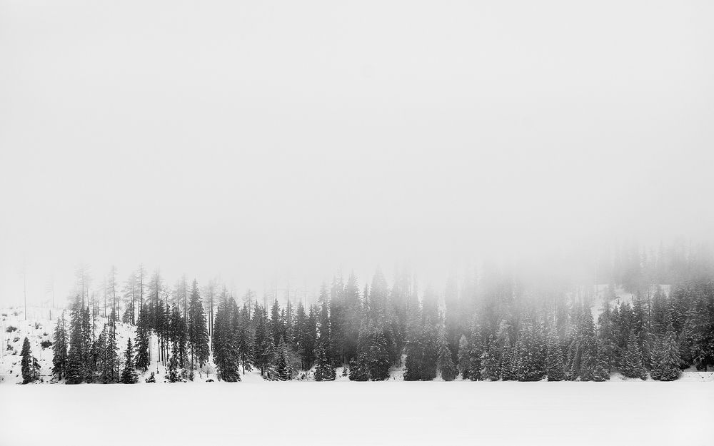 Photograph by Евгений Бузук