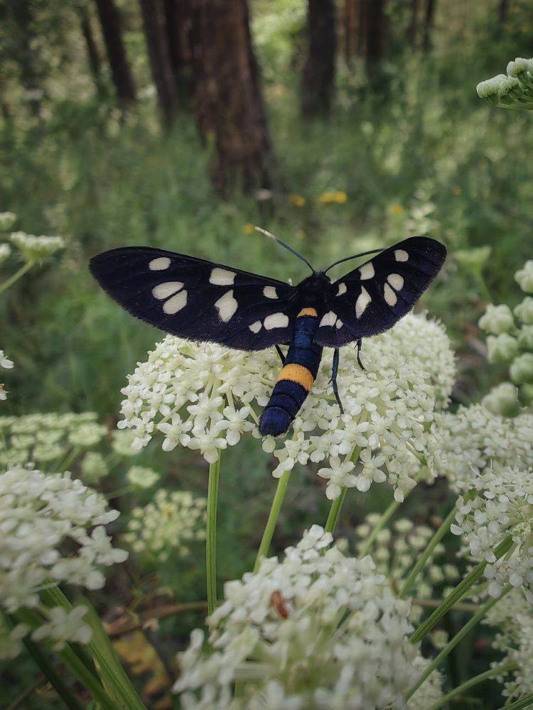 Photograph by Денис Сухов