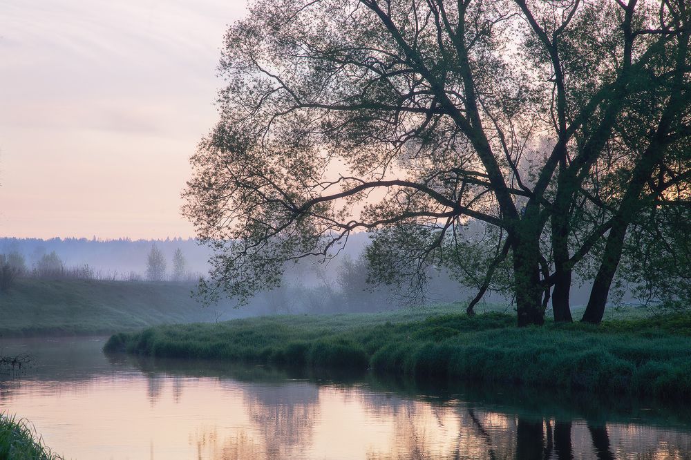 Photograph by Марина Сорокина