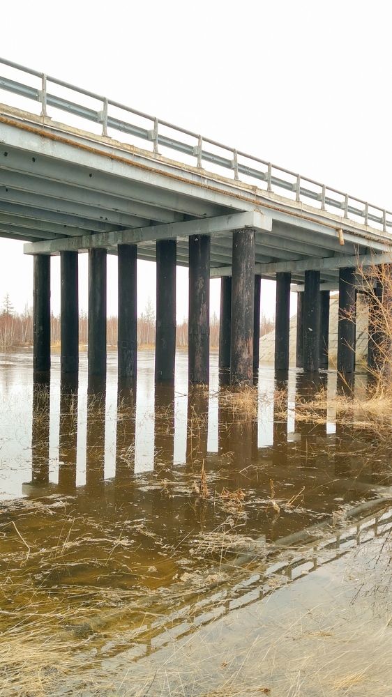 Фотография автора Мария Черница