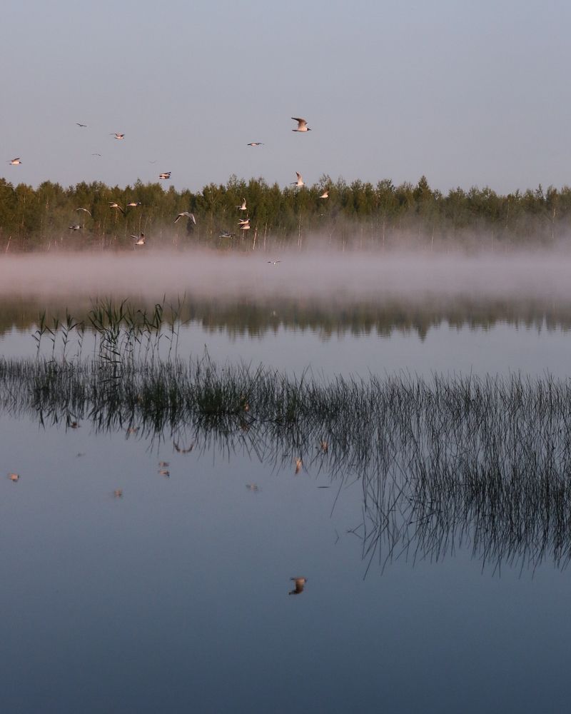 Магия рассвета