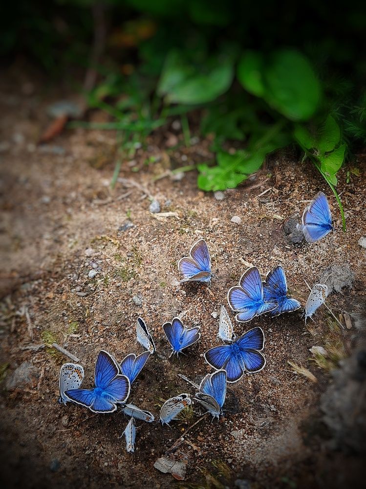 Photograph by Наталья Чередниченко