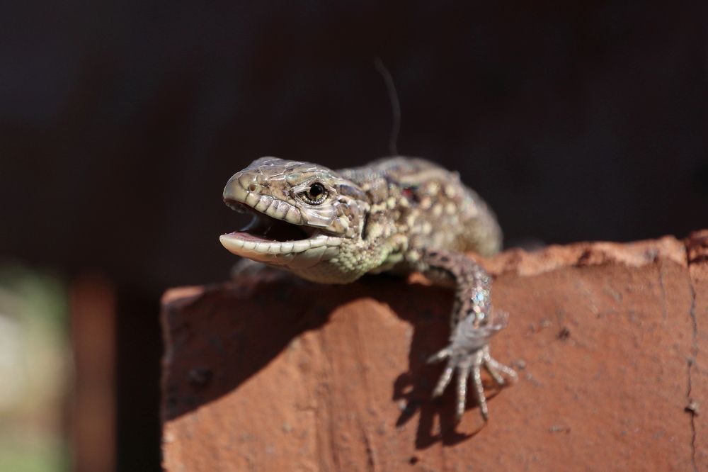 Photograph by Сергей Конюшенко