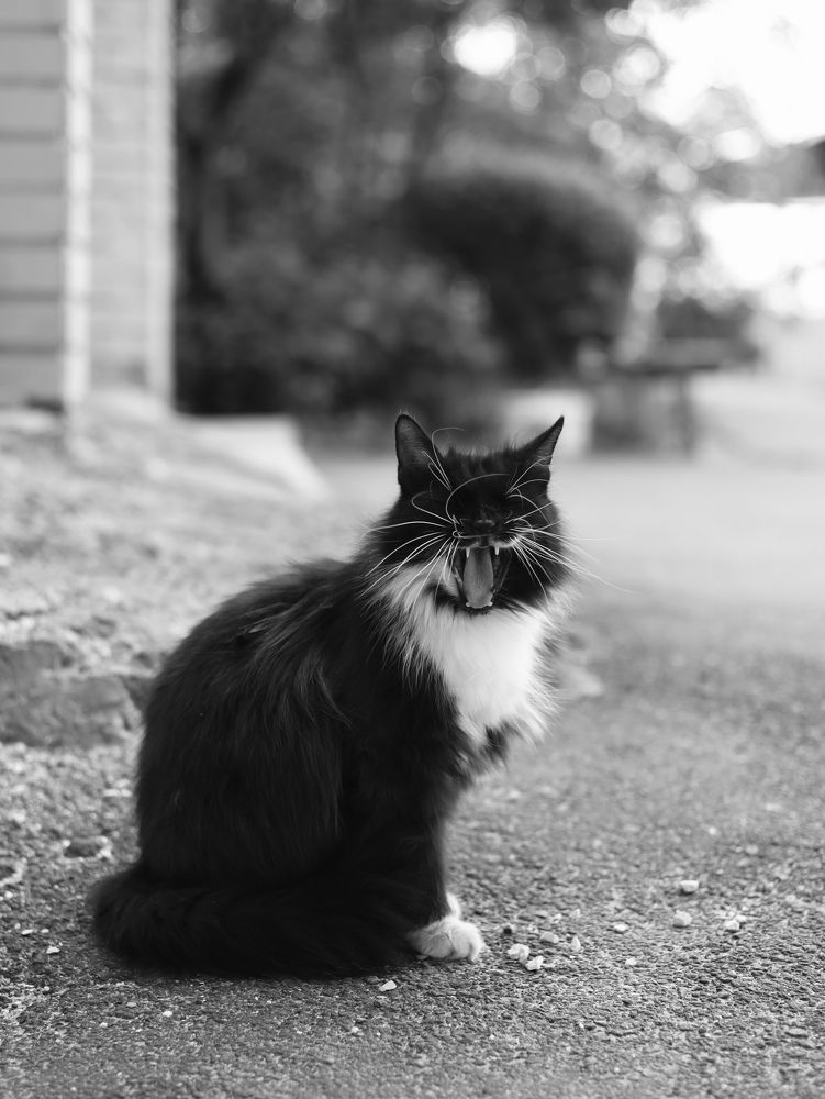 Фотография автора Ирина Мосько