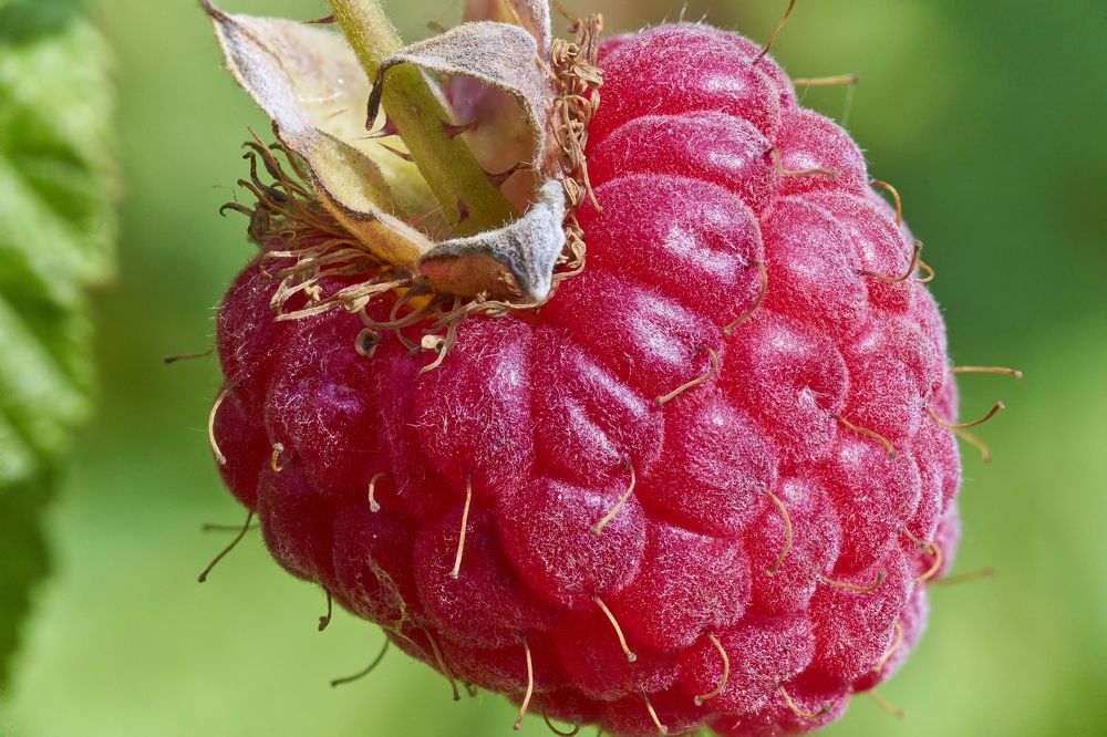 Photograph by Игорь Зиновьев