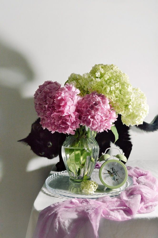 Photograph by Дина Полухина