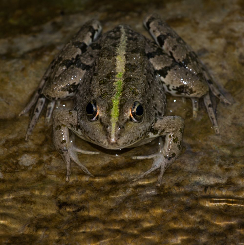 Photograph by Олег Башкуров