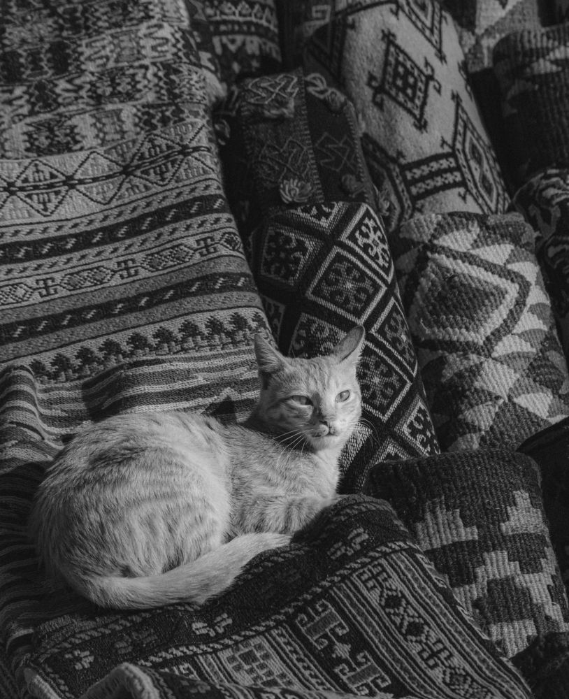 Photograph by Hisham Yahya