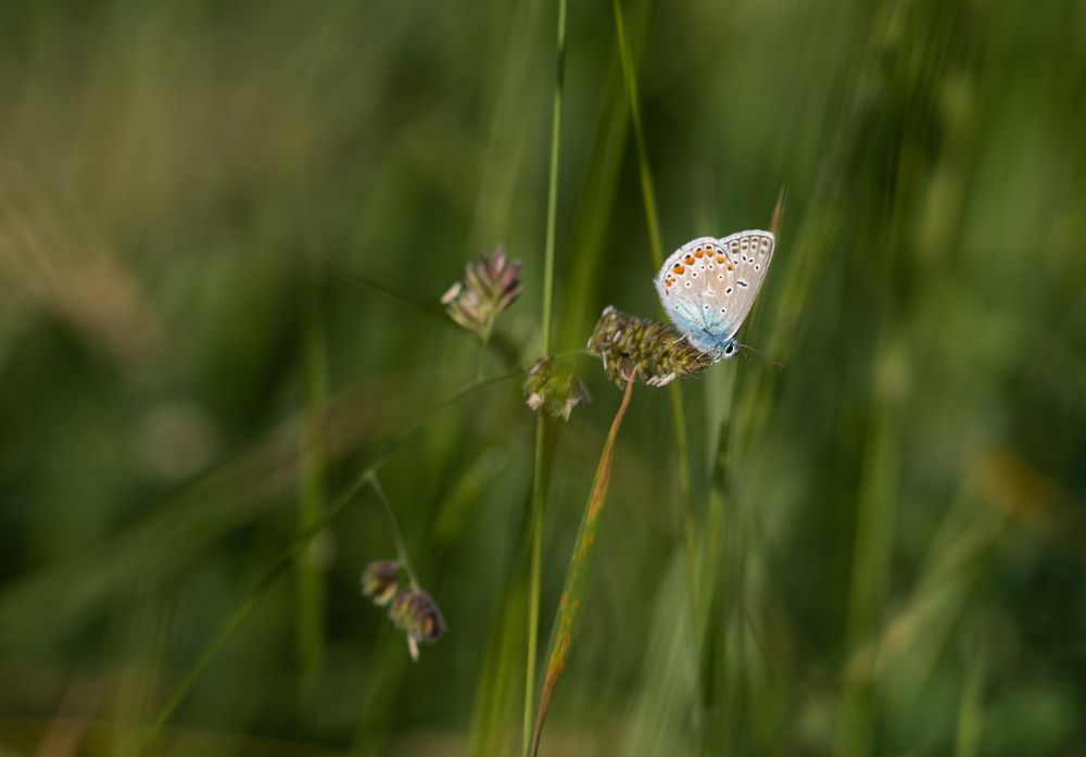 Photograph by Щербак Анатолий