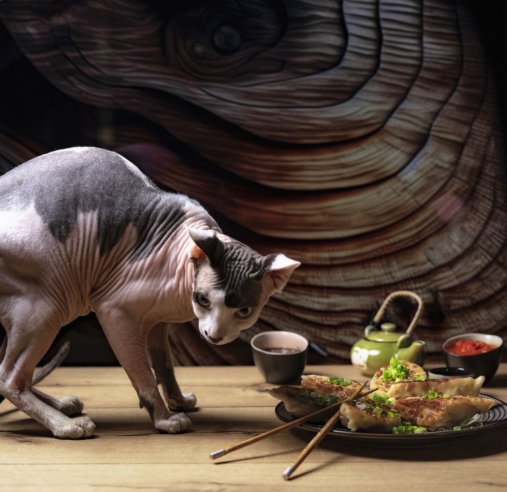 Фотография автора Igor Lukin