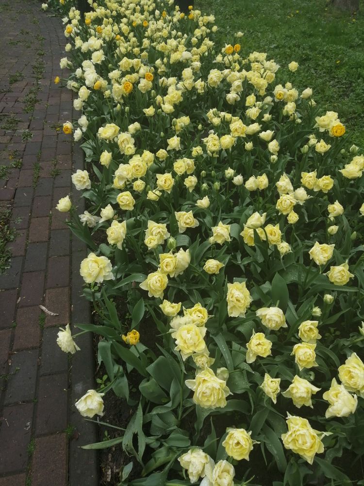 Photograph by Мила Мит