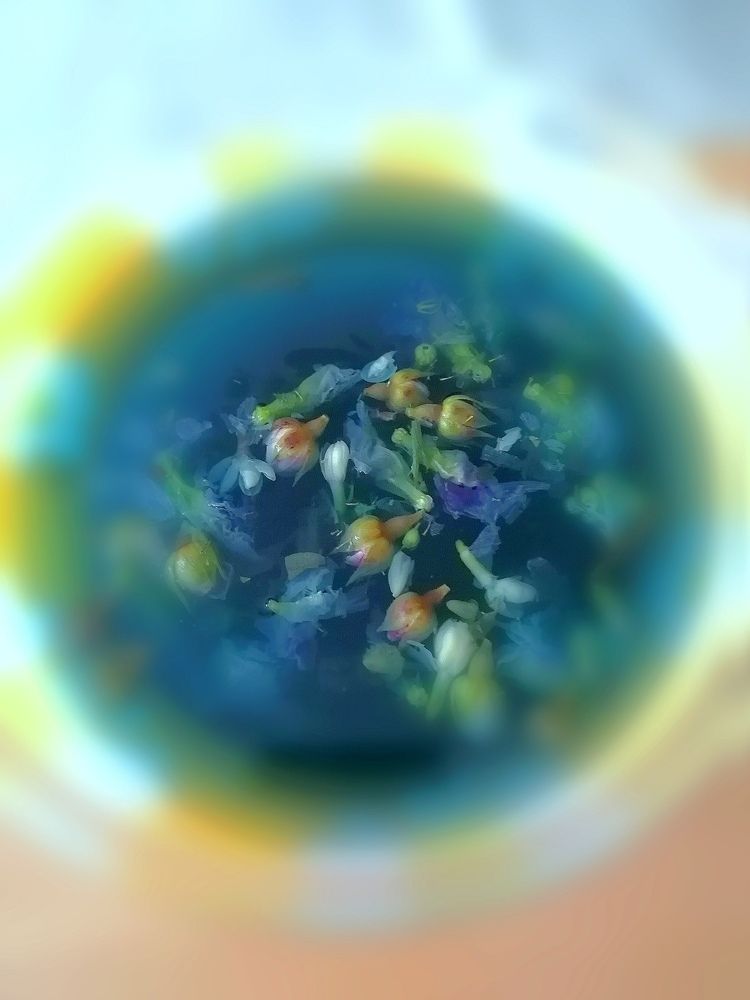 Photograph by Мила Мит