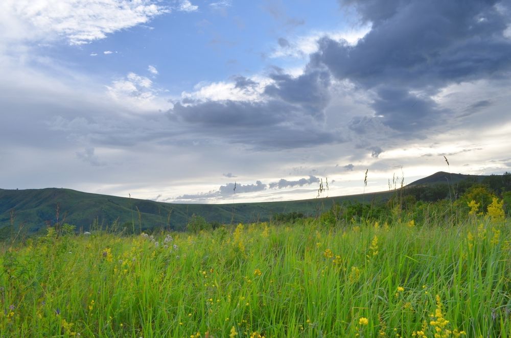 Фотография автора Сергей Ляшко