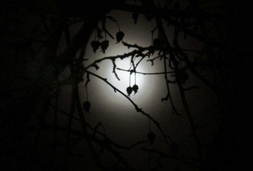 Photograph by Татьяна Смирнова