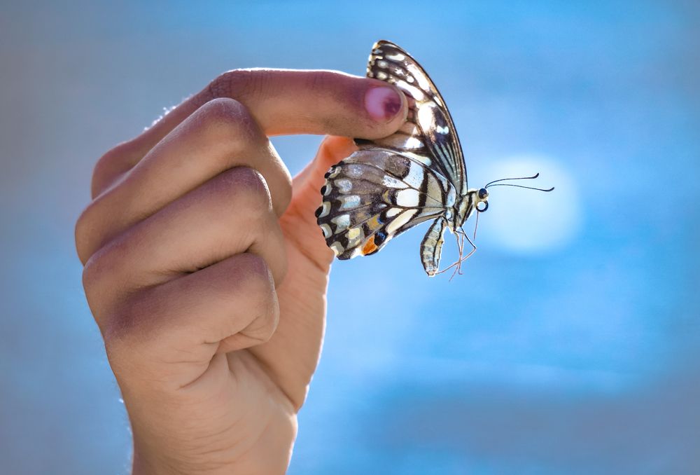 Photograph by Waleed Izmail