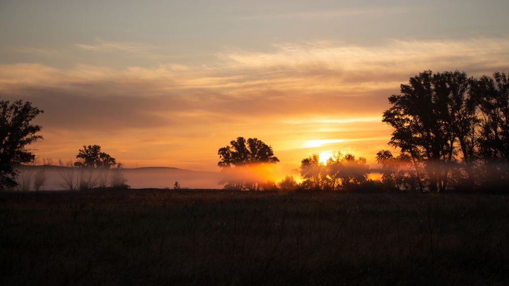 Photograph by Анжелика Сороколетова