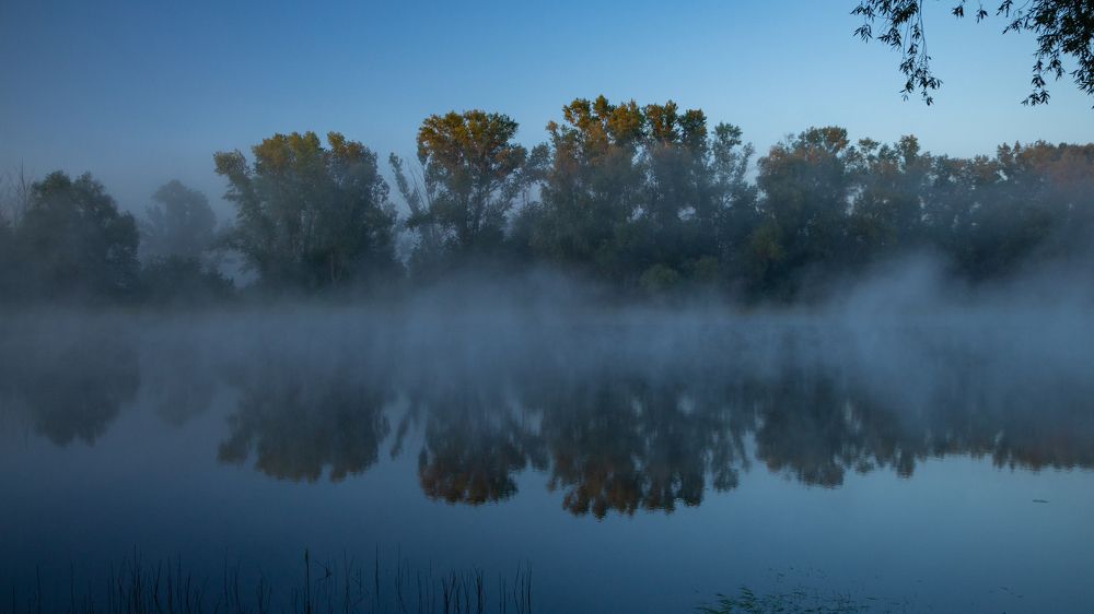 Photograph by Анжелика Сороколетова