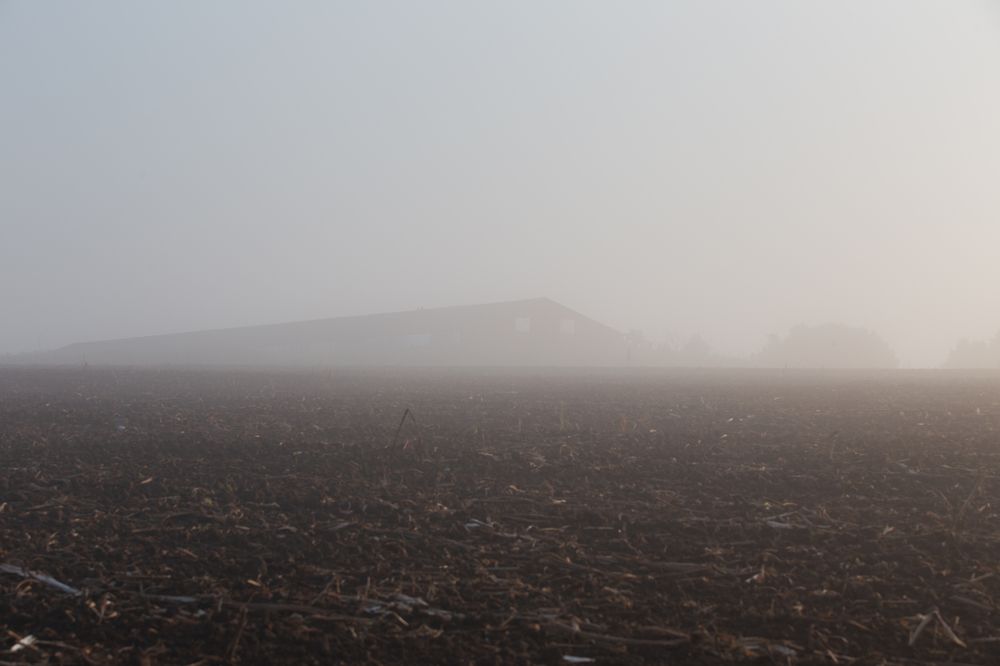 Photograph by Валерия Юдина