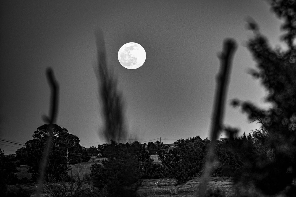 Photograph by Bachir Rabouh